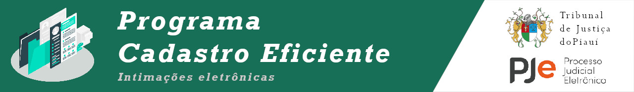 Programa Cadastro Eficiente
